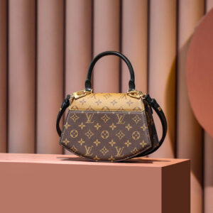 Túi Louis Vuitton Tilsitt Bag ‘Brown’