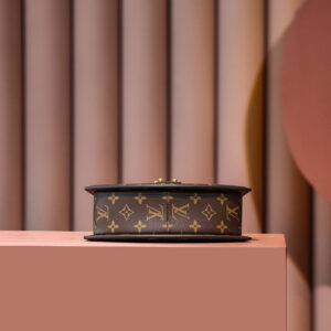 Túi Louis Vuitton Tilsitt Bag ‘Brown’