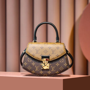 Túi Louis Vuitton Tilsitt Bag ‘Brown’