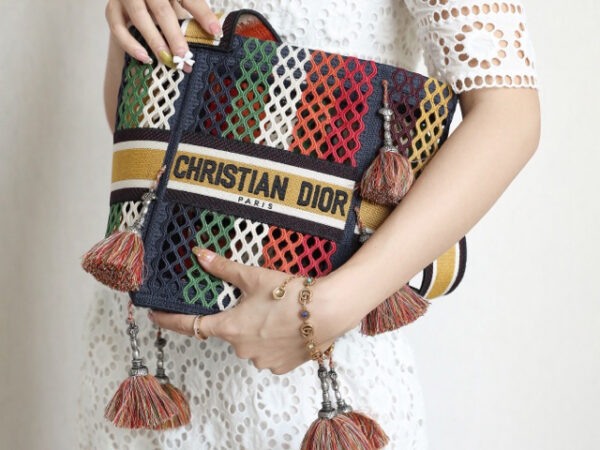 Dior D-Bubble Bucket Bag Multicolor Mesh Embroidery