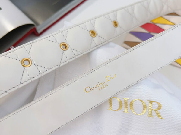 Thắt Lưng Dior Họa Tiết Trơn Khóa Logo CD