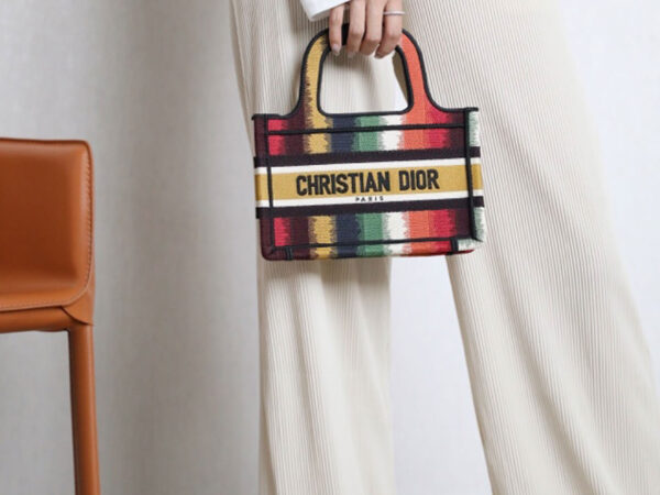 Túi Christian Dior Multicolor Embroidered Canvas Book Tote Mini