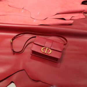 Túi Dior 30 Montaigne Calfskin Bag Red