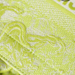 Túi Dior Book Tote Lime Toile de Jouy Reverse Embroidery