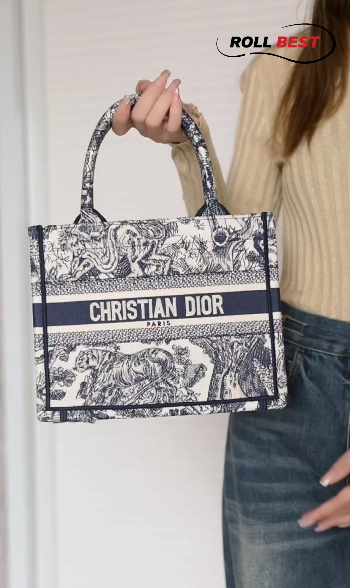 Túi Dior Book Tote Toile de Jouy Embroidery Blue