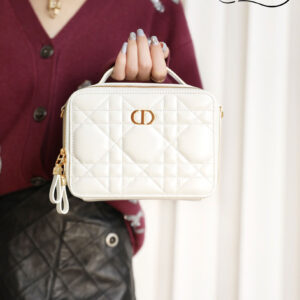 Túi Dior Caro Box Bag White Calfskin