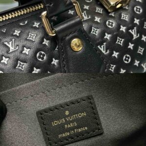 Túi Louis Vuitton Speedy Bandoulière 20 Bag ‘Black’