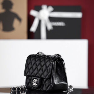 Túi Chanel Classic Flap Bag Small Black Silver Lambskin (13x17x8)
