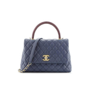 Túi Chanel Coco Bag Quilted Caviar With Lizard Blue