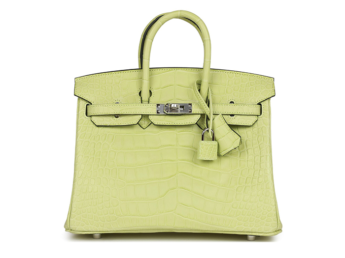 Túi Hermès Birkin 25 Jaune Bourgeon Matte Alligator Palladium Hardware