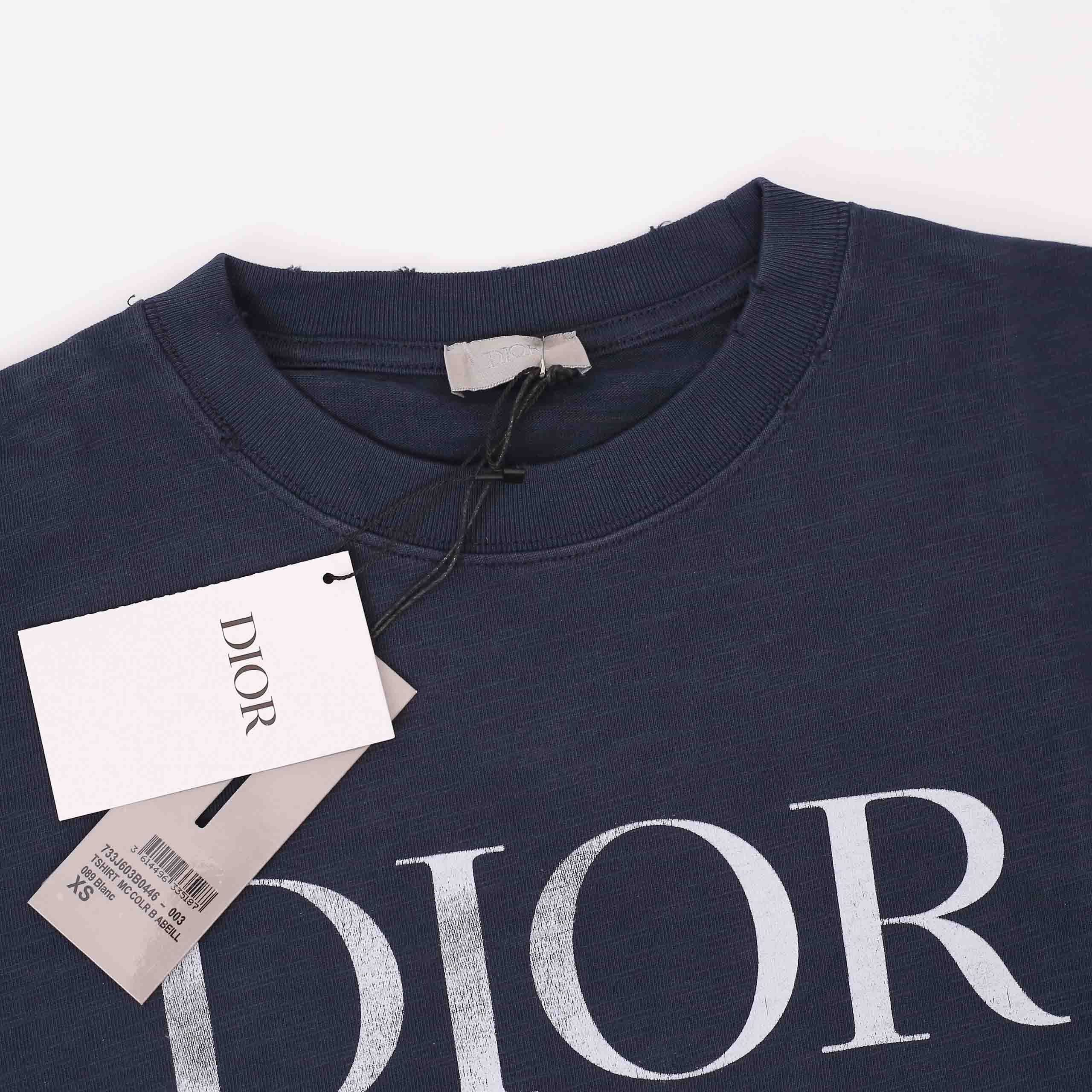 Áo Phông Dior Logo Oversized