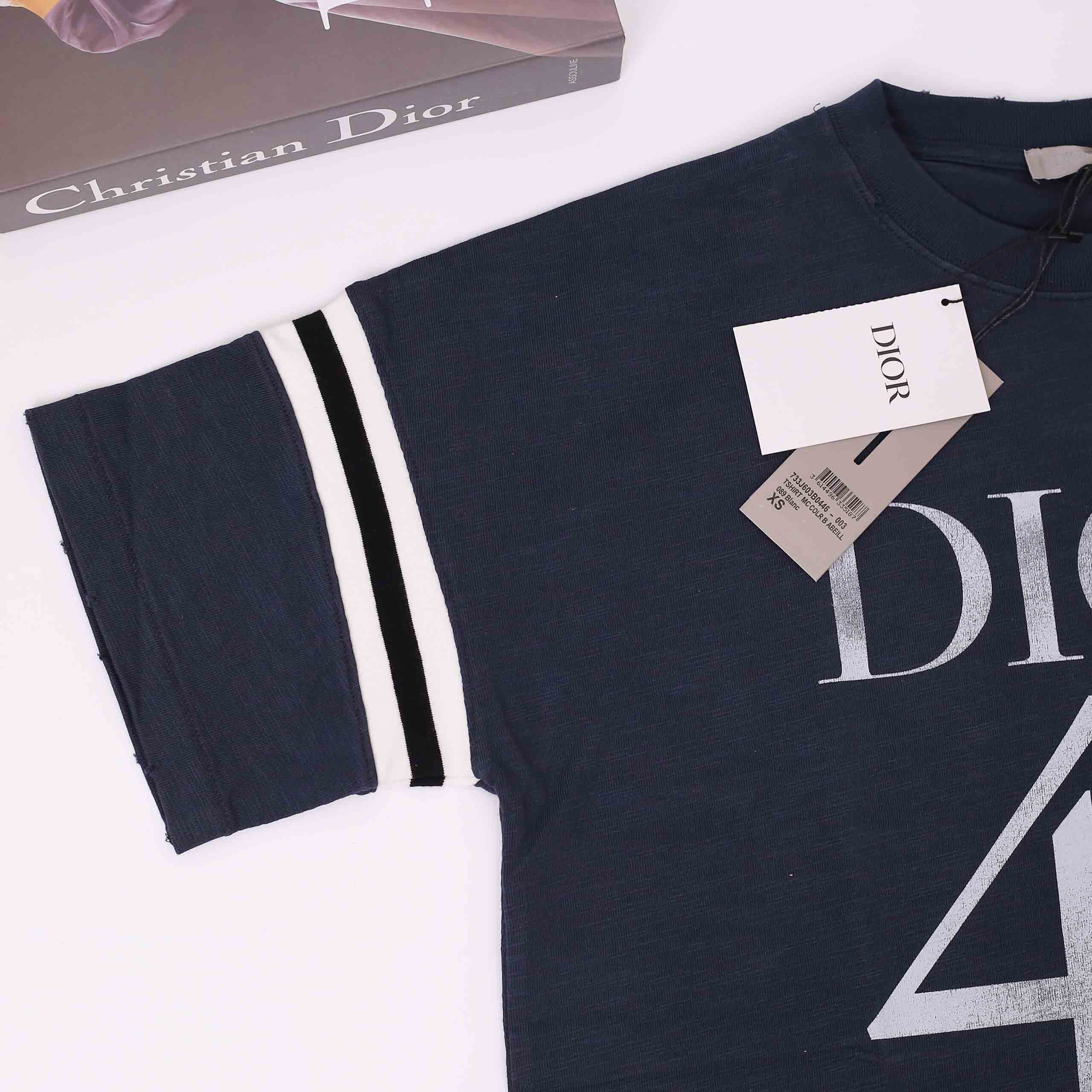 Áo Phông Dior Logo Oversized