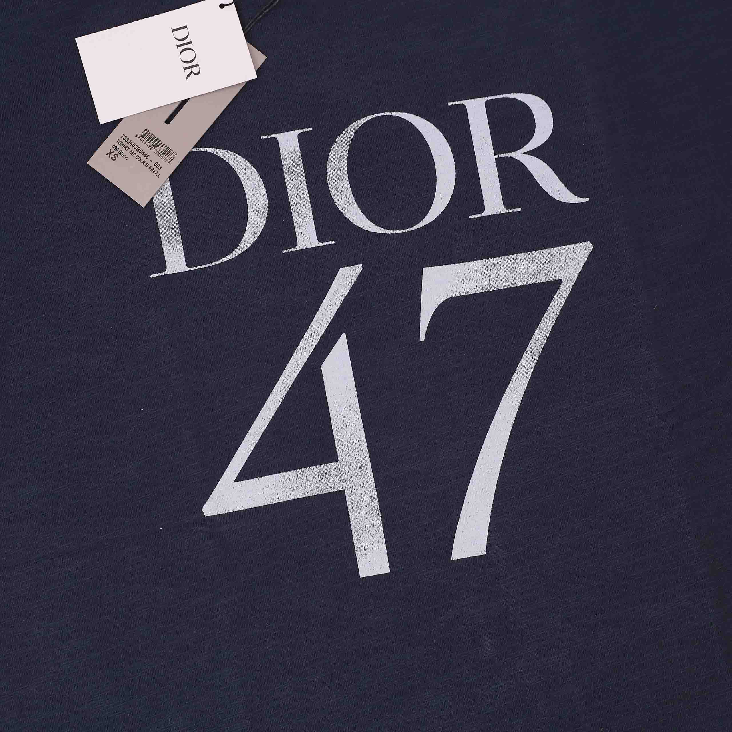 Áo Phông Dior Logo Oversized