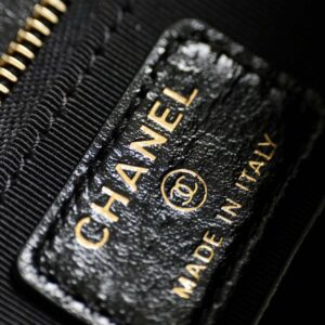 Túi Chanel 31 Wallet On Chain Shiny Calfskin Black