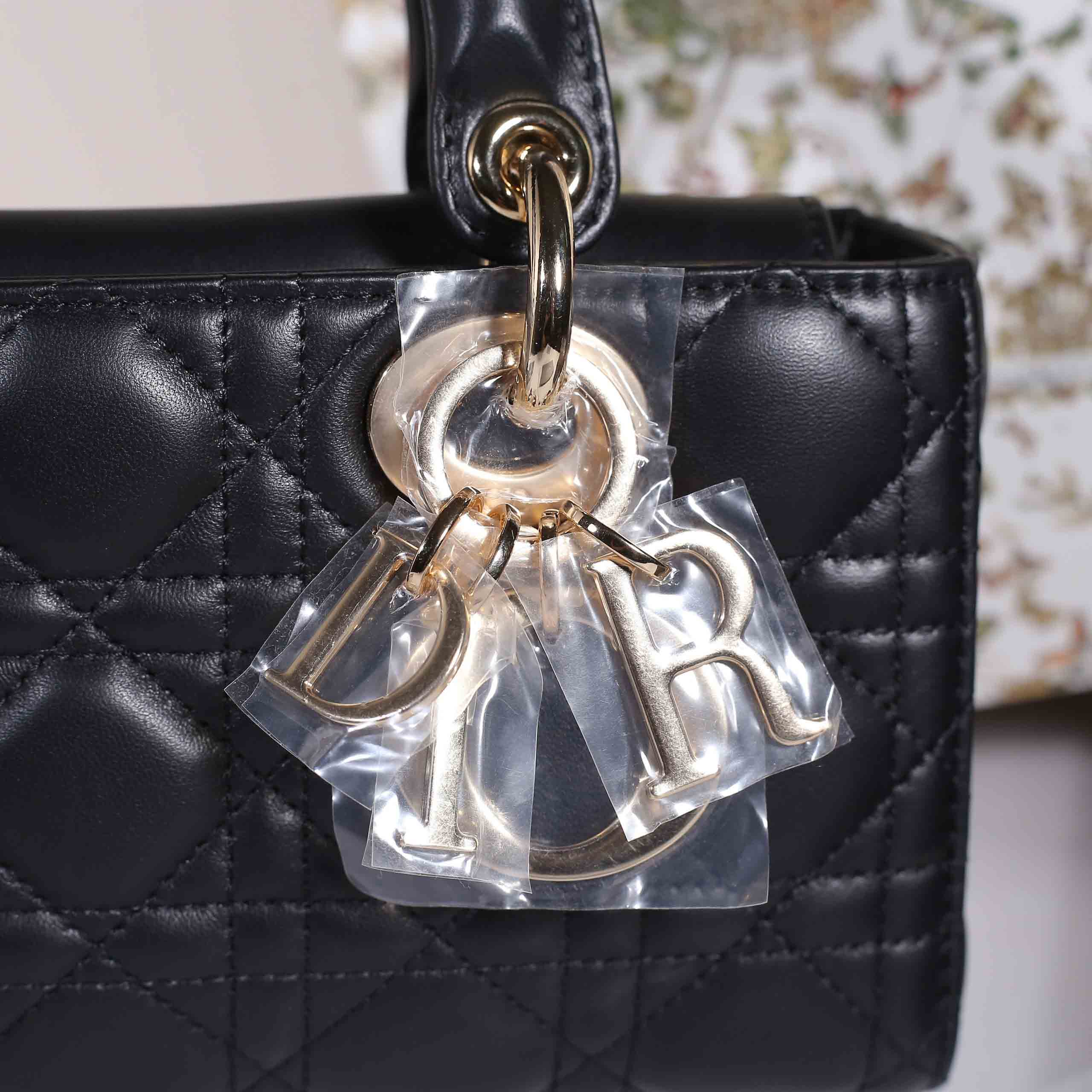 Túi xách Dior Small D-Joy Bag Black Cannage Lambskin Women